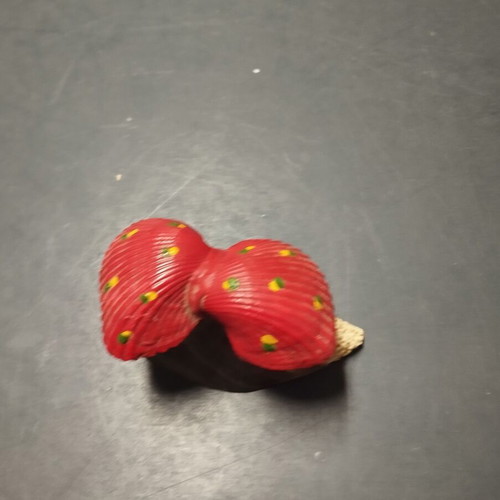 Decorative shell used from Varna
