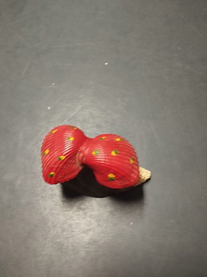 Decorative shell used from Varna