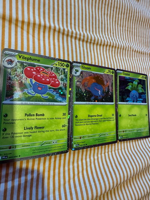 Pokémon cards new