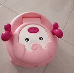 Potty used