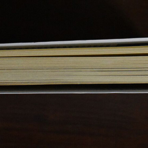 The Other America book like new