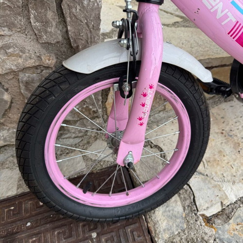 Orient Terry 14-inch children's city bike
