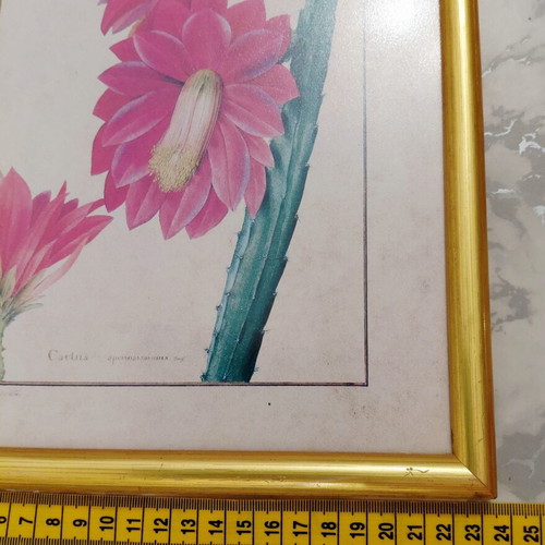Set of three botanical prints in gold wooden frames