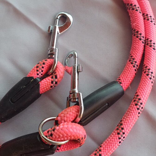 Dog leash and harness set GLEE like new, adjustable, reflective