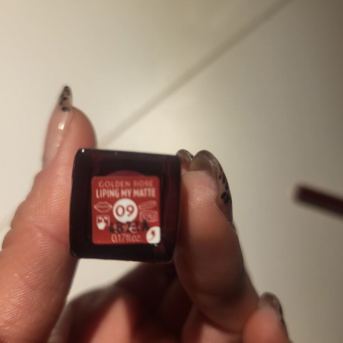 Golden Rose Liping My Matte 09 lipstick and Dream Lips lipliner new