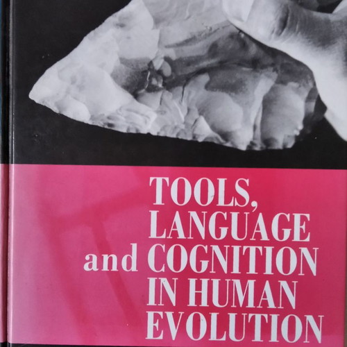 Tools, Language and Cognition in Human Evolution used book
