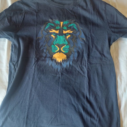 Gap T-shirt blue size XXL for 12-14 years like new