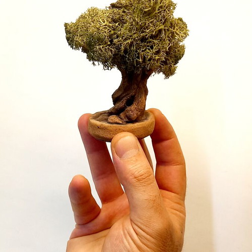 Mini Olive Bonsai Tree Handmade Ceramic Clay with Preserved Moss