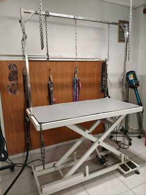 Επαγγελματικό ηλεκτρικό τραπέζι κουρέματος ζώων σαν καινούργιο