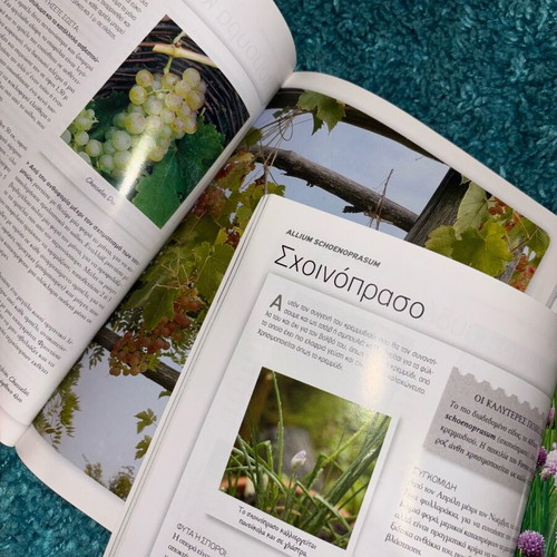 Gardening for Everyone Larousse books like new, pack of 2