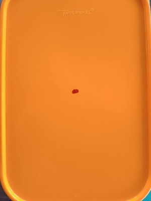 Tupperware rectangular food storage container used