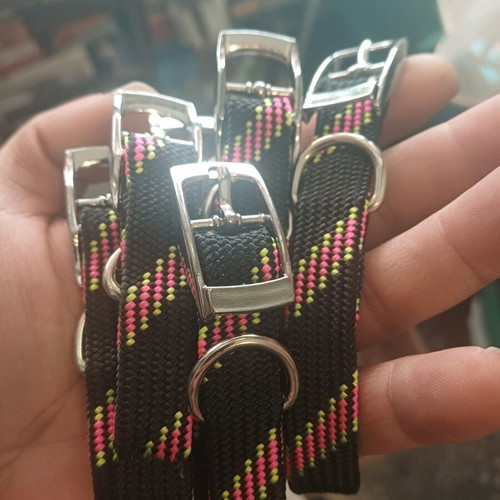 medium-sized dog collar