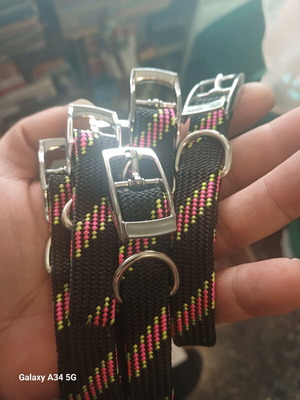 medium-sized dog collar