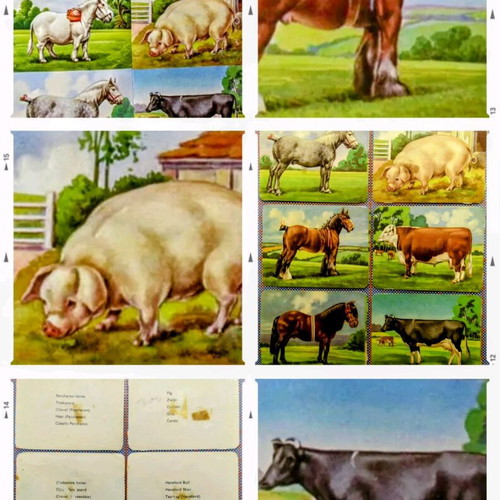 Vintage paper scraps with farm animals used, set of 6 pieces