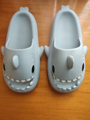 Blue slippers new
