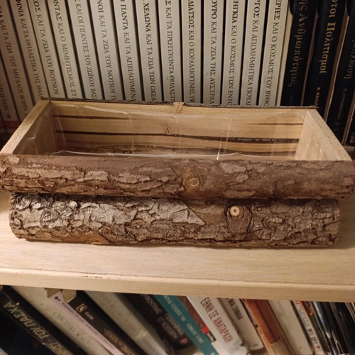 Wooden planter new with rustic texture, rectangular shape