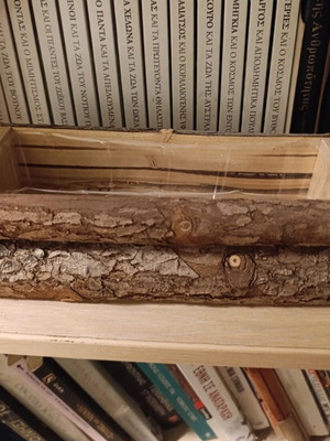 Wooden planter new with rustic texture, rectangular shape