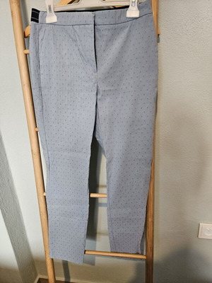 Zara Basic Blue Stretch Pants like new
