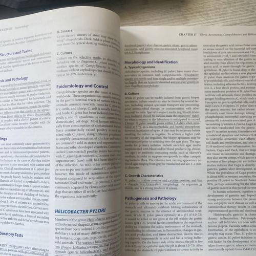Jawetz Melnick & Adelberg's Medical Microbiology 28th Edition used
