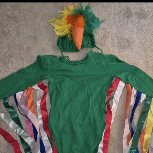 Carnival children's costume used for 4-year-old kids
