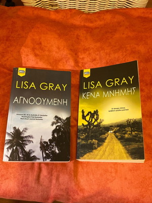 Lisa Gray books like new, set of 2 crime novels