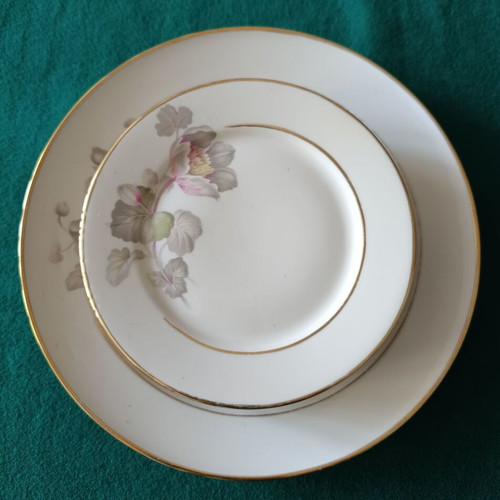 Vintage Rosenthal dessert set like new, 6 small and 1 large plate