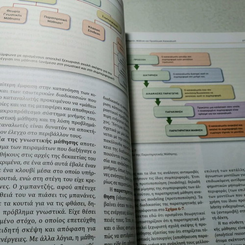 Consumer Behavior 5th Edition like new, large size