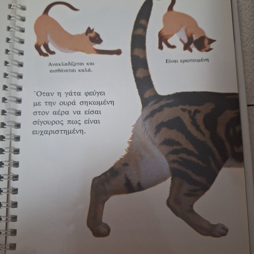 Educational children's books used, set of 18 by Claude Delafosse
