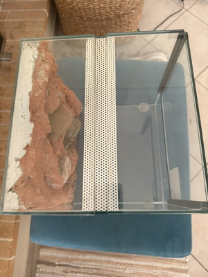 Glass terrarium used with 3D background 30×30×30 cm