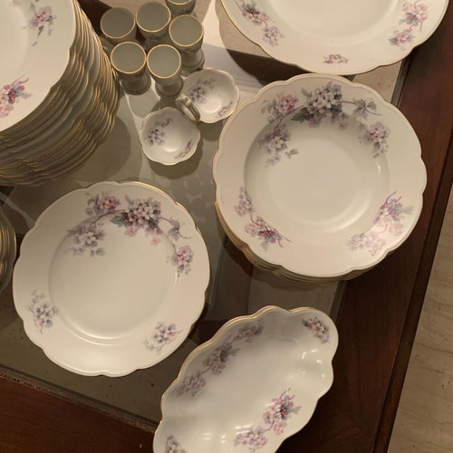 MZ Altrohlaou CM-R porcelain antique dinnerware set used, 55 pieces