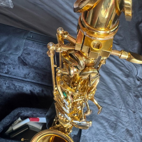 Alto saxophone new full set with extra accessories and case