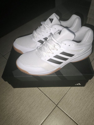 Adidas Speedcourt indoor men's shoes new, size 46, white
