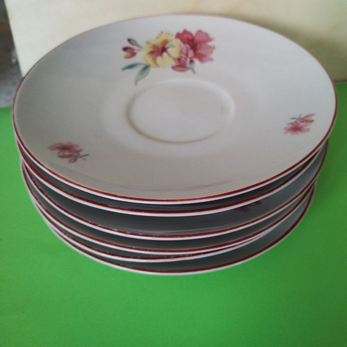 Porcelain tea set used like new, 11 pieces, vintage floral decor