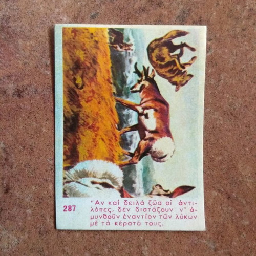 Ion Safari wafer sticker used No287