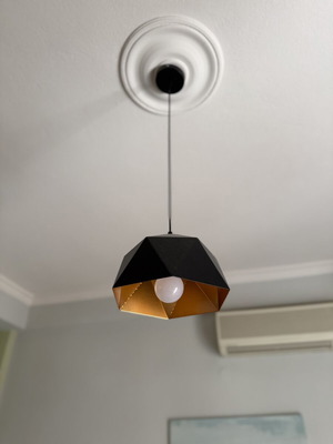 Ceiling light black and gold with LED bulb