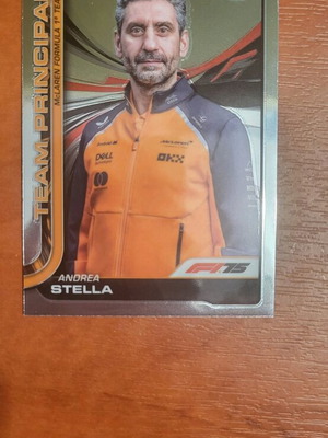 F1 Topps Chrome 2025 Team Principal Andrea Stella #194 like new