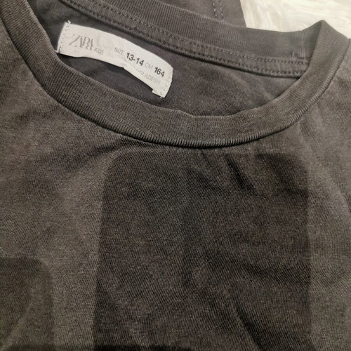 Zara T-shirt 164 cm used, gray for boys