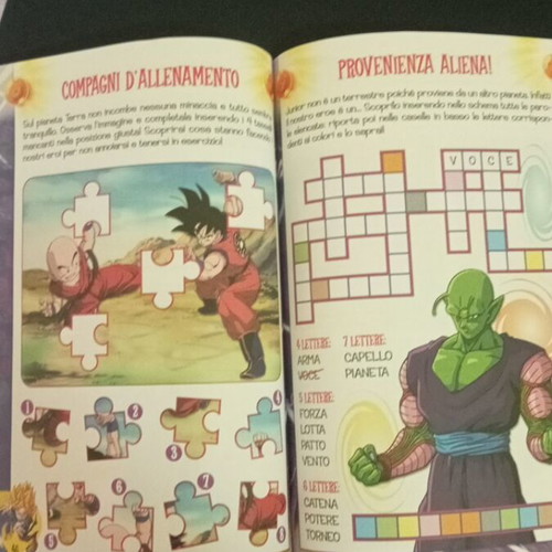 Dragon Ball Z book used, Italian 2009