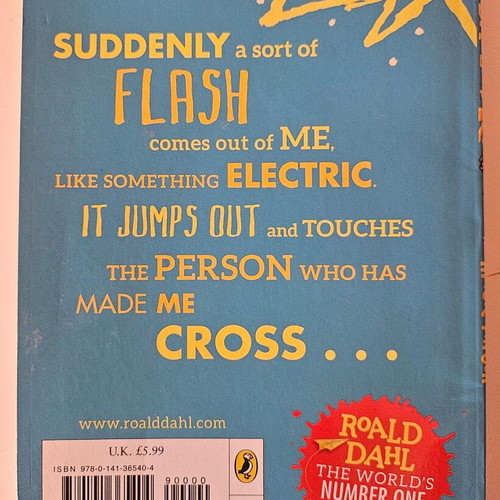 Magic Finger children's book new