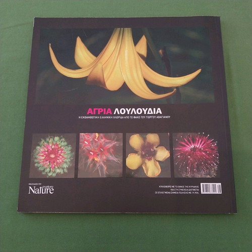 Wild Flowers book new, Greek flora photography by Giorgos Avagianos