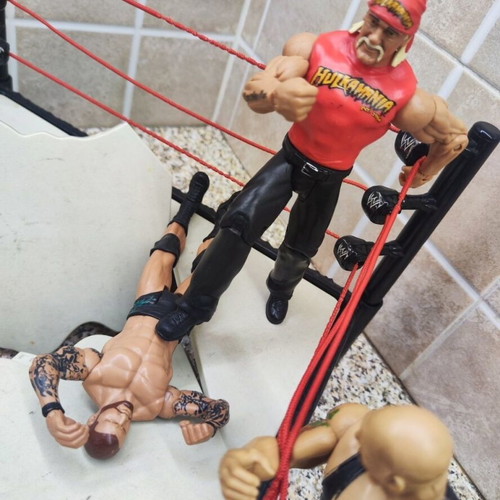WWE Flex Force Breakdown Ring 2010 with 8 figures