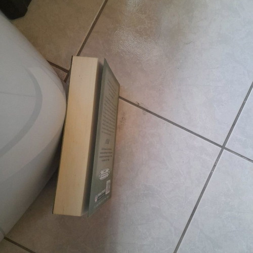 The Buried Giant novel by Kazuo Ishiguro