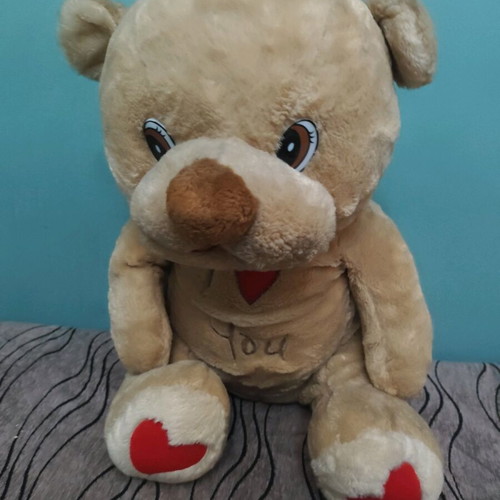 Large teddy bear with hearts used