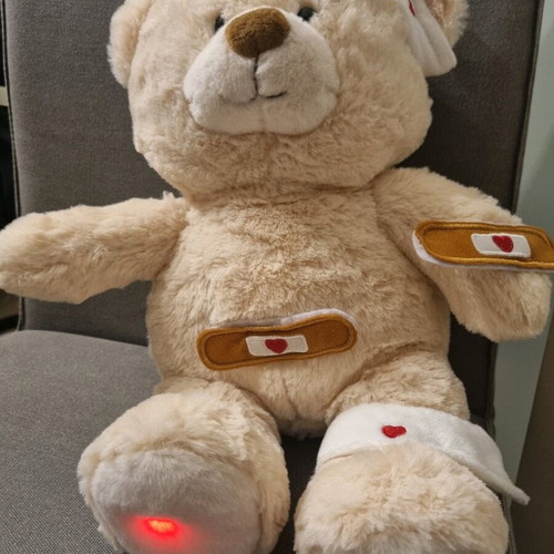 Sick Bear plush like new with accessories and instructions