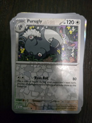 Purugly Pokemon card new