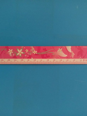 Barbie collectible ruler