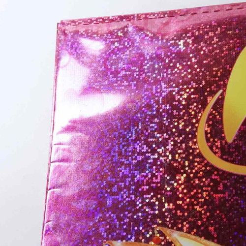 Winx Club Bloom A4 Notebook Cover used