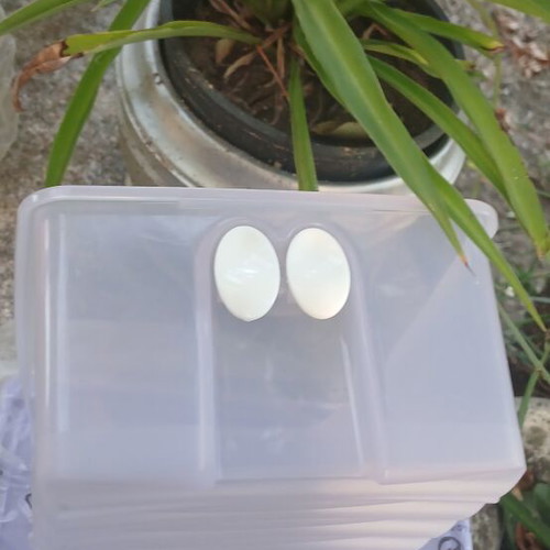 Tupperware set of 2 with eye holes, new