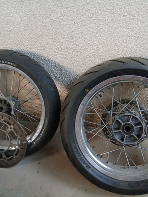 Motard new
