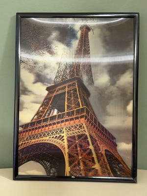 Three-dimensional wall decorations used 26x19